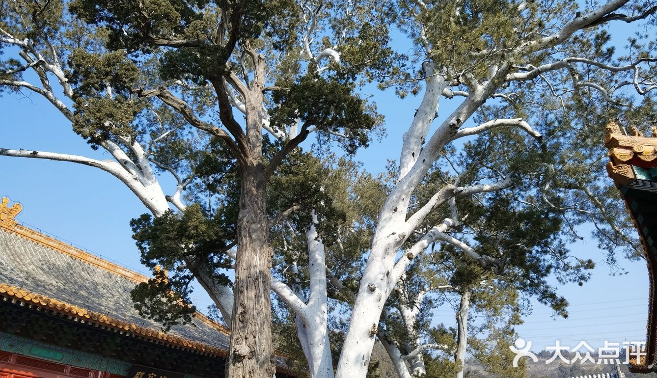 法海寺壁画的精美可与莫高窟比肩