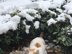 -敬亭山风景名胜区