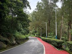 -火炉山森林公园