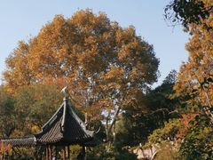 -上海醉白池公园