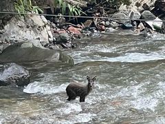 -西岭雪山大飞水景区