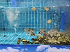 -坛南湾农家乐·海鲜楼·大排档(平潭坛南湾店)