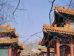 -大明幻境第一城