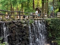 -波尔登森林公园