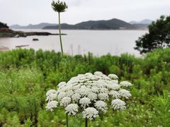 -东海半边山旅游度假区