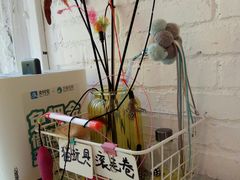 大堂-有猫主题·治愈系猫咖(曾厝垵店)