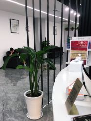 点击看大图 -YESIDO BLACK椰岛造型