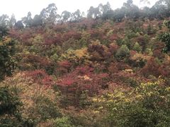 -广州市石门国家森林公园