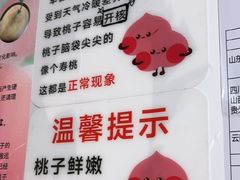 -老袁家蜜桃农场·阳山水蜜桃