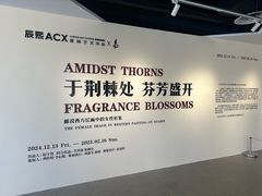 -辰熙ACX星海艺术中心