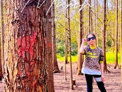 -桤木河湿地公园