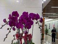 -茂菊口腔连锁(浦东南路店)