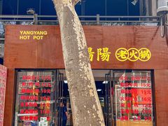 -阳阳老火锅(小南门店)