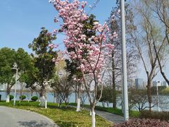 -石湖景区