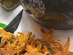 -犇放和牛烤肉·烤榴莲自助(苏宁城市奥莱店)