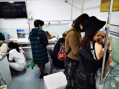 -达爱动物医院·犬猫分区·CT·复杂眼科(远洋山水分院)