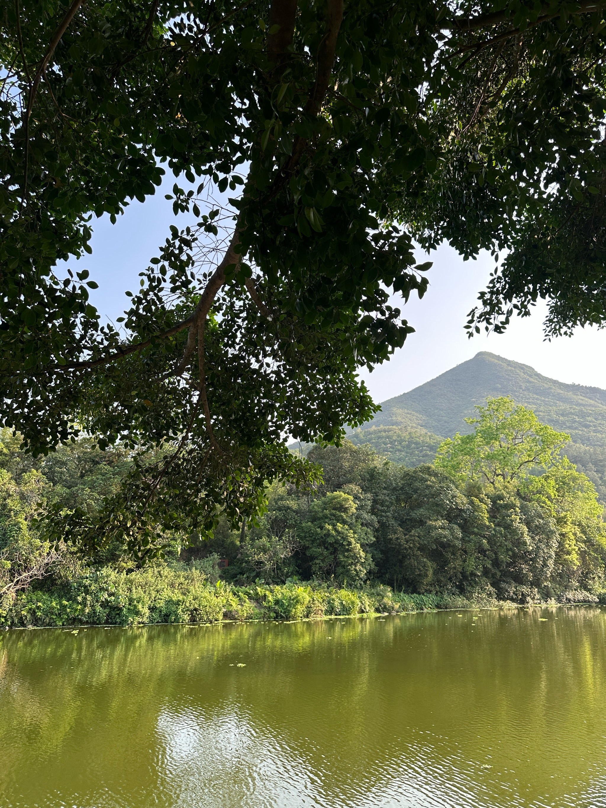 汕尾海丰莲花山最全攻略!