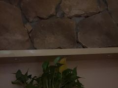 -麦子MaiMassage(打浦桥店)