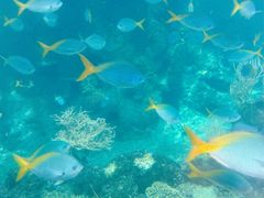 -新加坡水上探险乐园