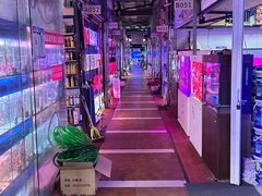 -朝来春花卉市场