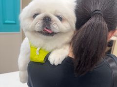 -安安宠医宠物医院·异宠·犬猫内科(岳阳分院)