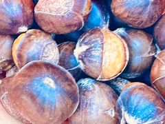 -小宝栗子(嘉华国际商业中心店)