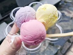 -成裕雪糕店(士多店)