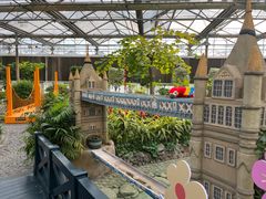 -南宫五洲植物乐园