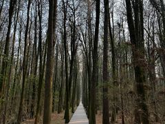 -同里国家湿地公园