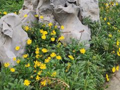 -菊花台公园
