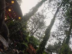 -唐风温泉