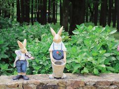 -上海共青森林公园