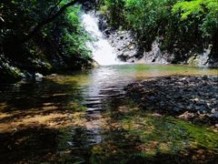 -东天目山风景区