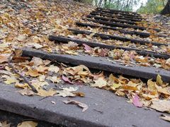 -黑龙江省森林植物园