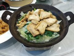 青菜烧豆腐-源牌酒店·家常六安菜