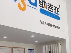 -纳吉亚猫专科动物医院·北北分院
