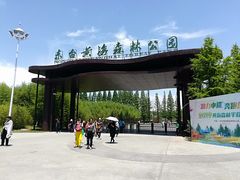 -黄海国家森林公园