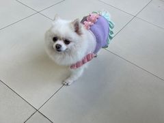 -怪兽屋·羊驼·猫咖·狗咖(俊华广场店)