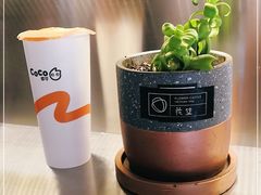 -CoCo都可(360丰产店)