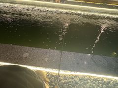 -DGE季风钓虾营地·团建·聚会