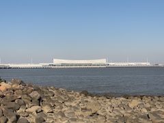 -吴淞炮台湾湿地森林公园烧烤区