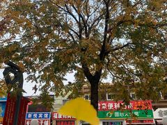 -天津医科大学肿瘤医院(本部院区)