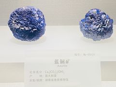 -湖南省地质博物馆