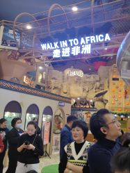 -卡通尼·Safari非洲探索乐园·生日会(金桥国际商业广场店)