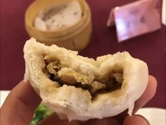 -青岛香根温泉酒店