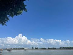 -大湾区中央湿地公园-十九涌