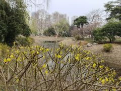 -堤角公园