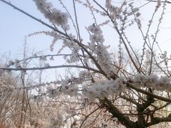 -玲珑塔公园