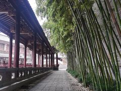 -龙潭水乡
