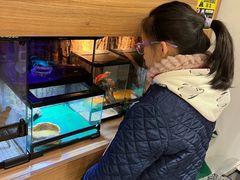 -酷以爬仙阁实体爬宠店·守宫·蜥蜴·专业繁育